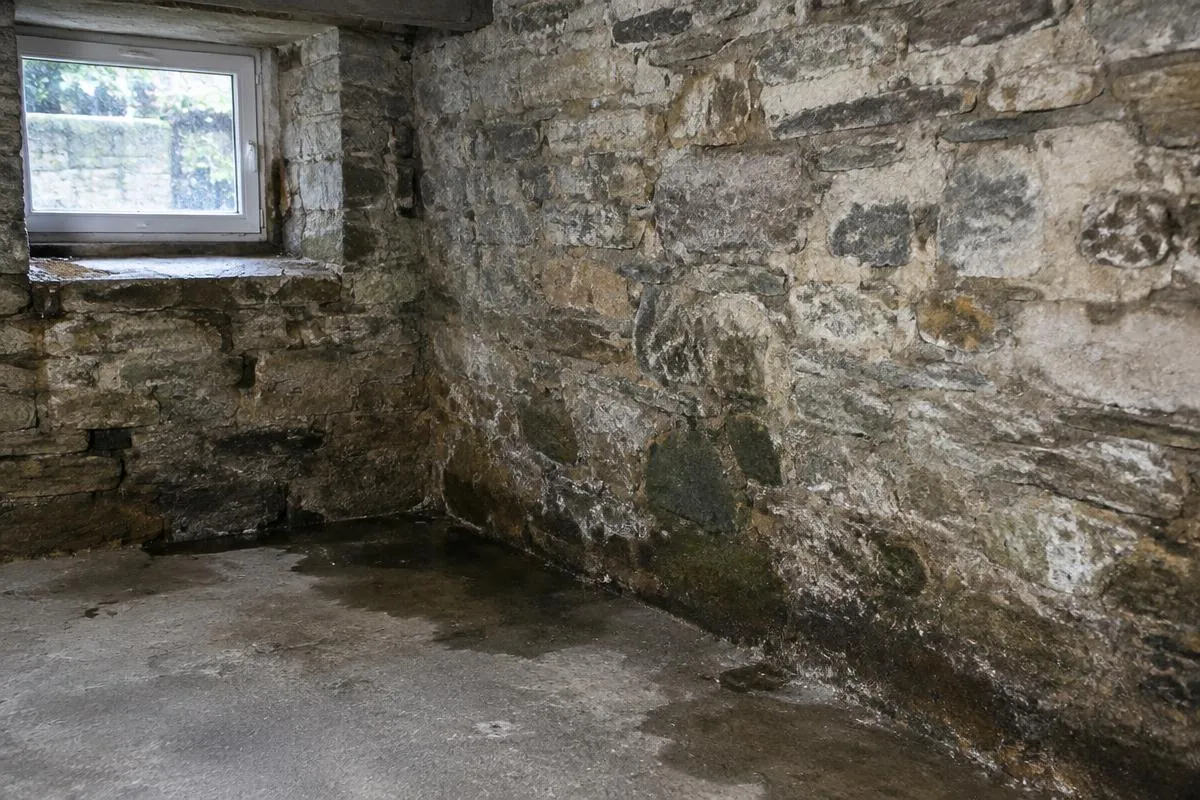 Illustration of damp masonry in a stone basement